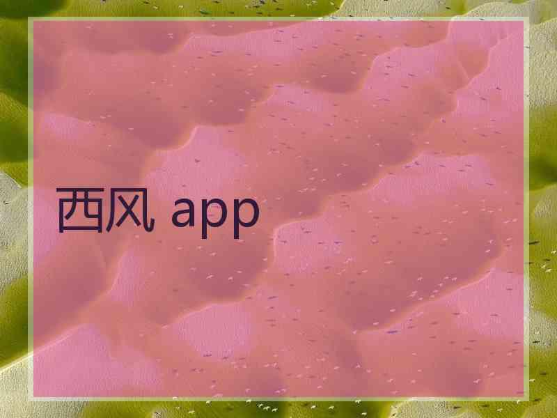 西风 app