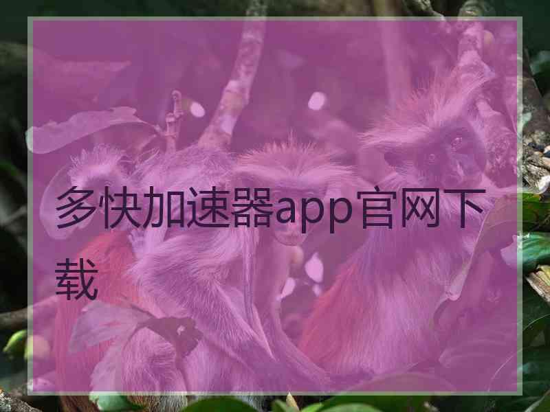 多快加速器app官网下载