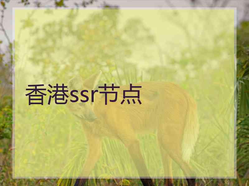 香港ssr节点