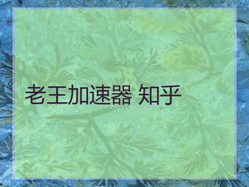 老王加速器 知乎