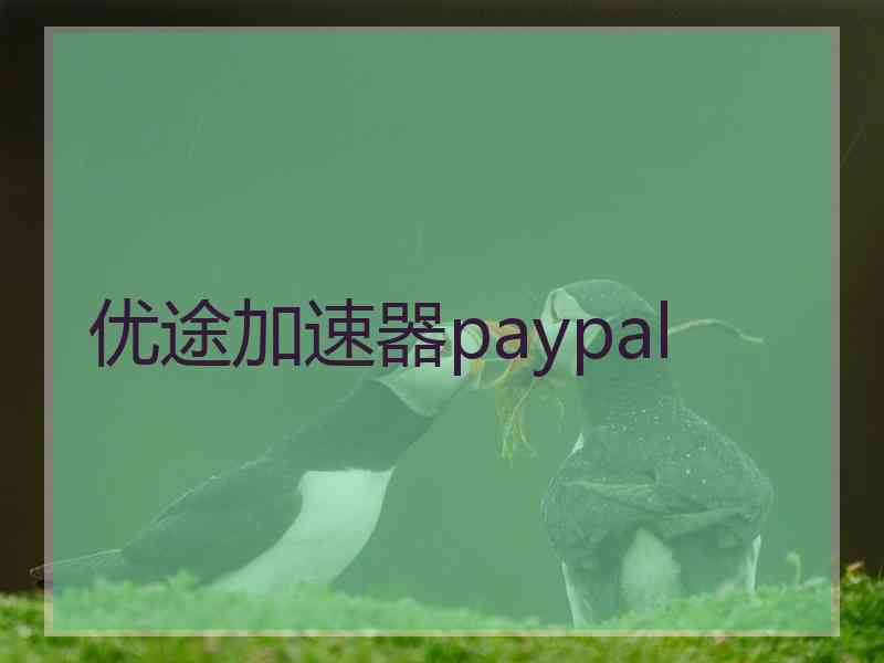 优途加速器paypal