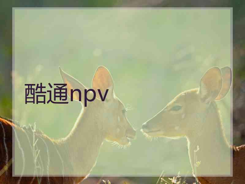 酷通npv