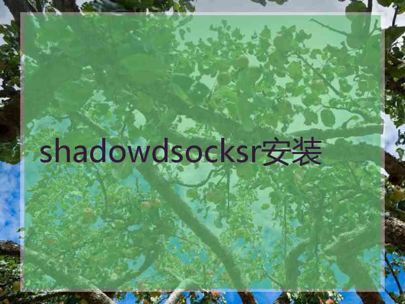 shadowdsocksr安装