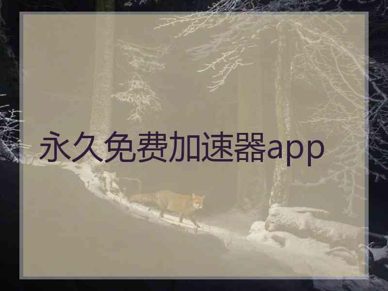 永久免费加速器app