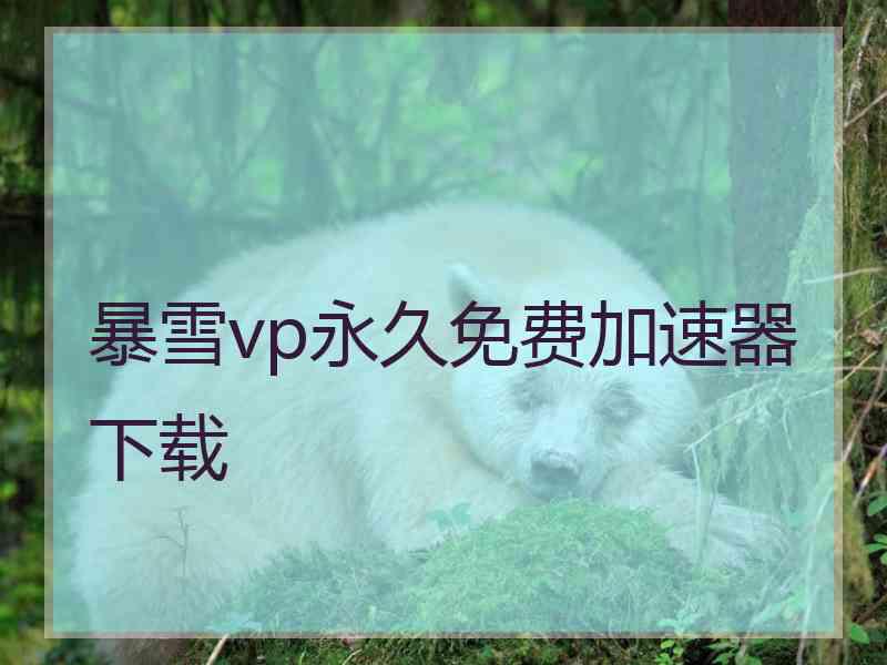 暴雪vp永久免费加速器下载