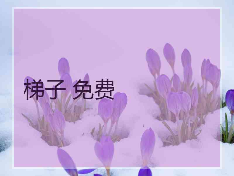 梯子 免费