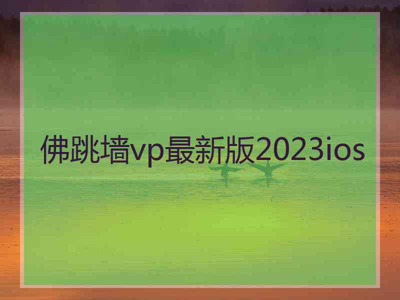 佛跳墙vp最新版2023ios