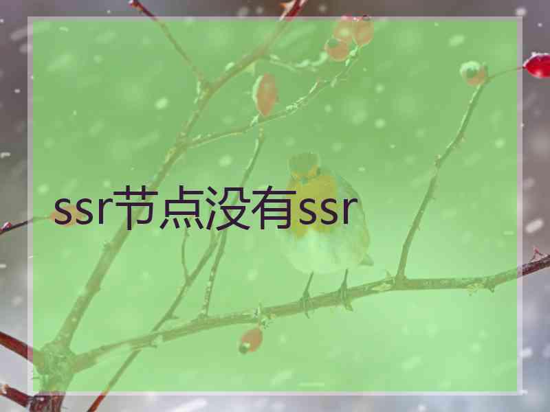 ssr节点没有ssr