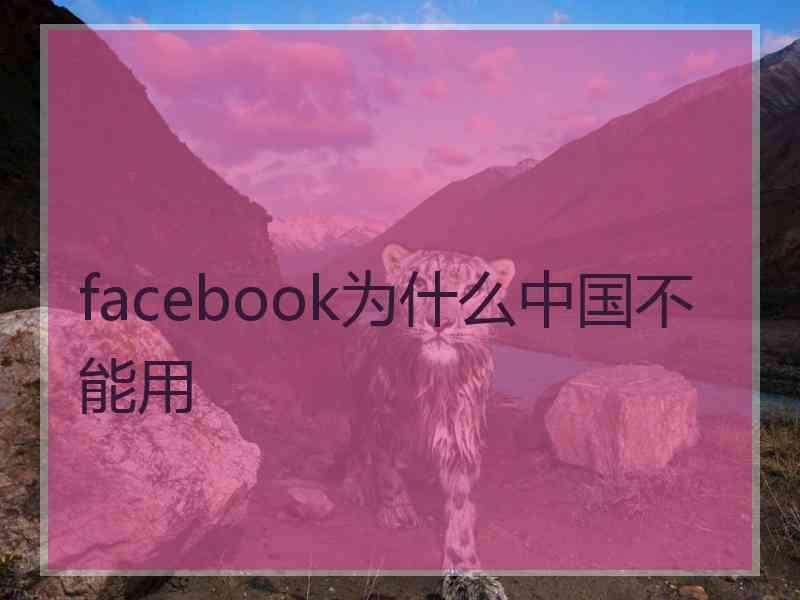 facebook为什么中国不能用