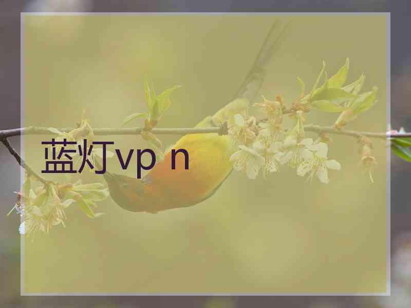 蓝灯vp n