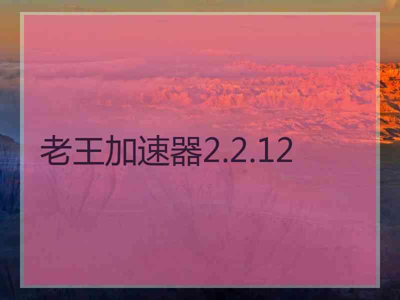 老王加速器2.2.12