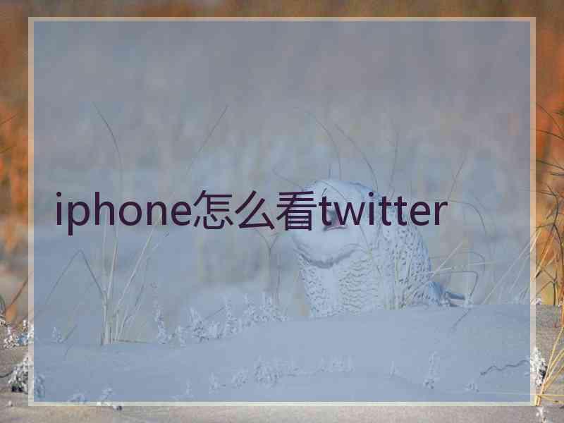 iphone怎么看twitter