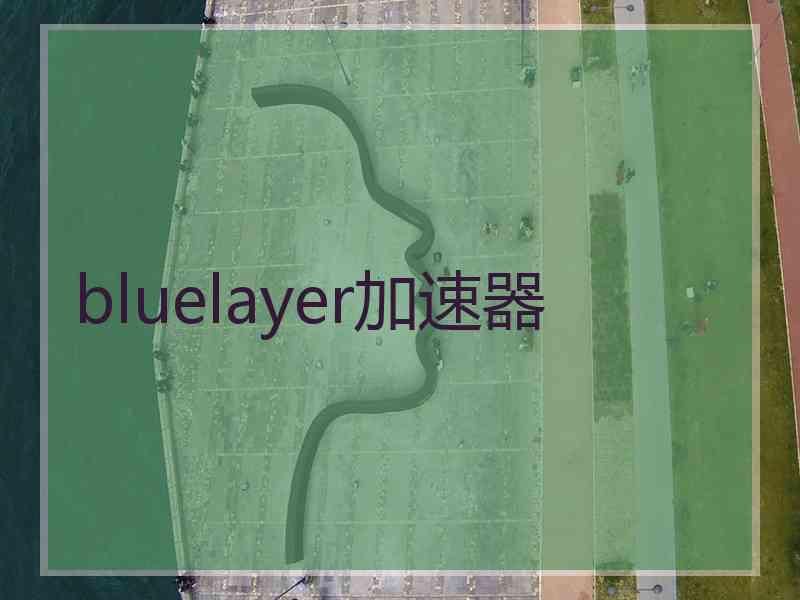 bluelayer加速器