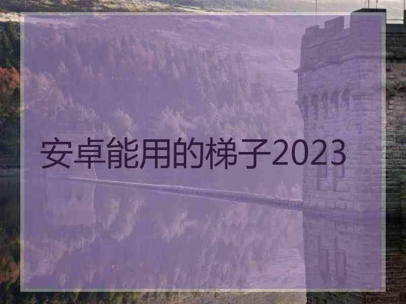 安卓能用的梯子2023