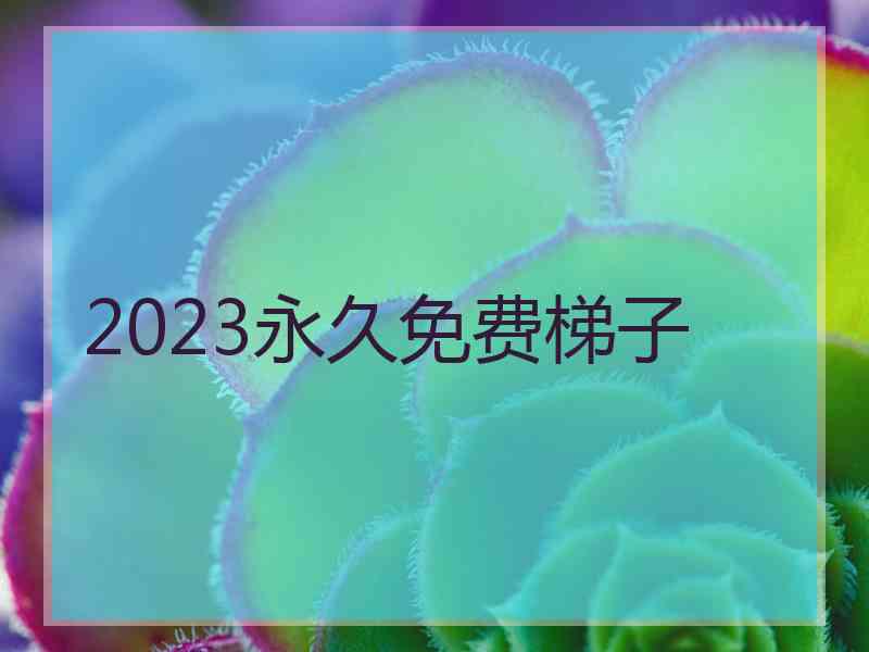 2023永久免费梯子