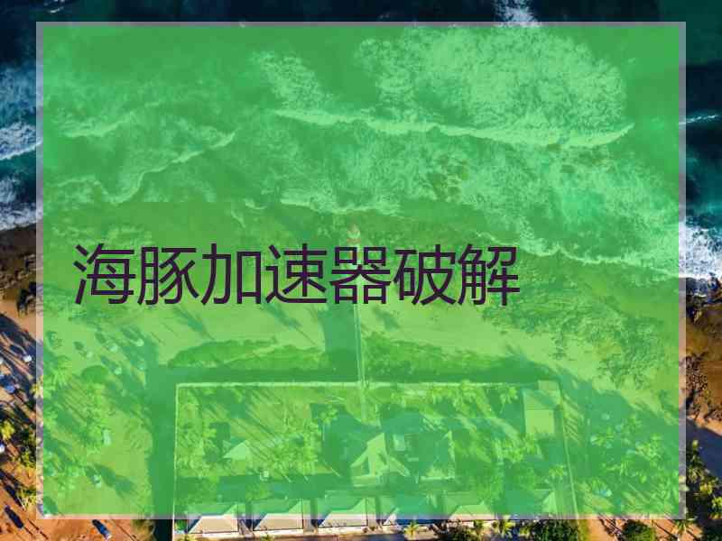 海豚加速器破解