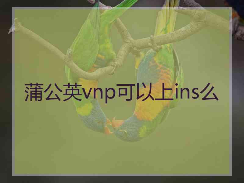 蒲公英vnp可以上ins么