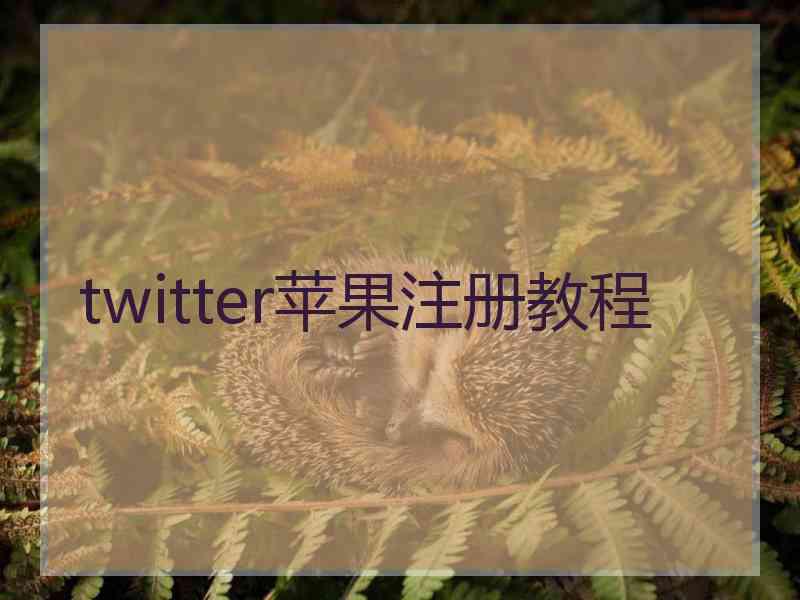 twitter苹果注册教程