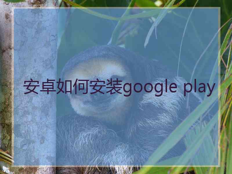 安卓如何安装google play