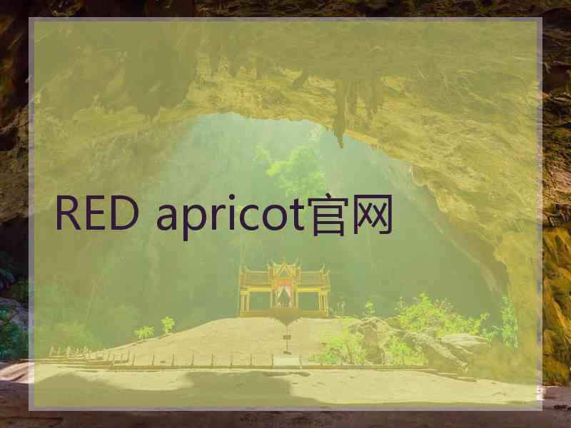 RED apricot官网