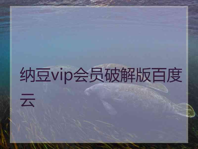 纳豆vip会员破解版百度云