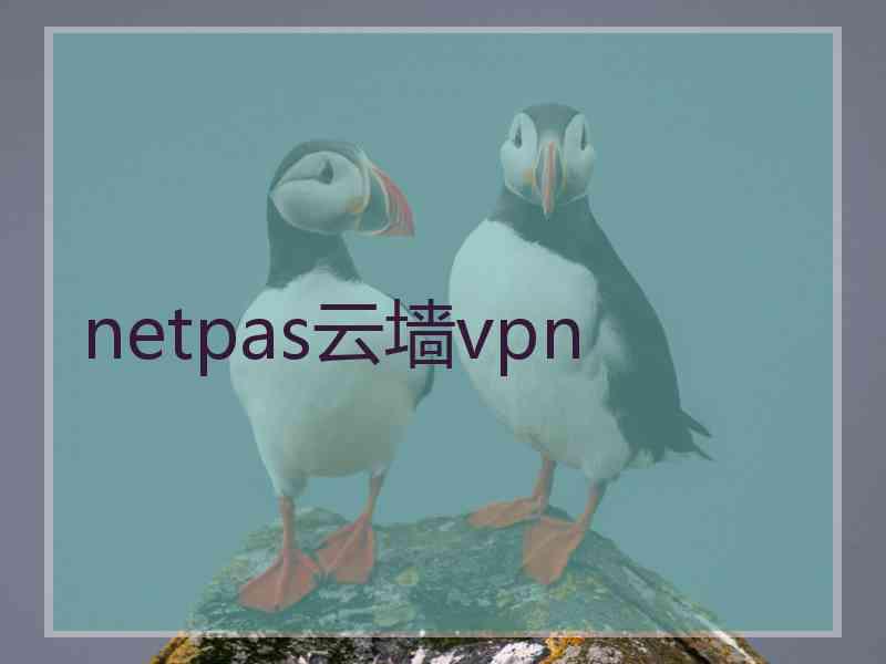 netpas云墙vpn