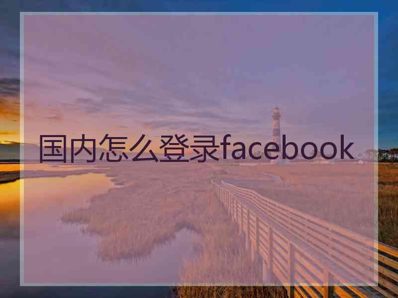 国内怎么登录facebook