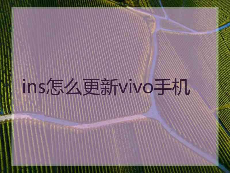 ins怎么更新vivo手机