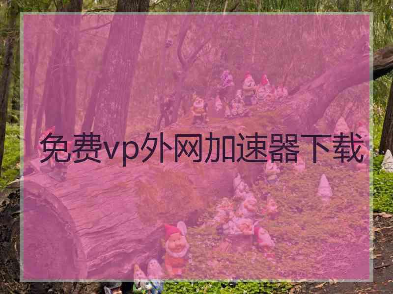 免费vp外网加速器下载