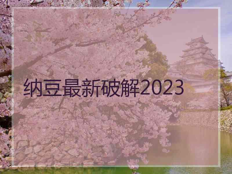 纳豆最新破解2023