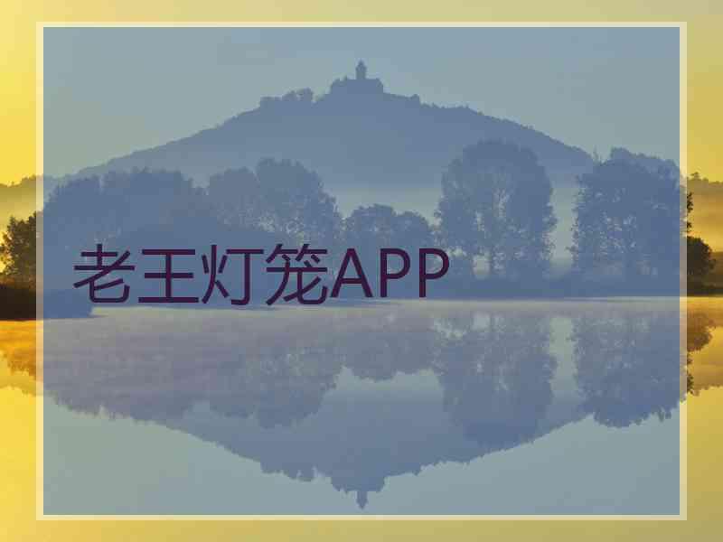 老王灯笼APP