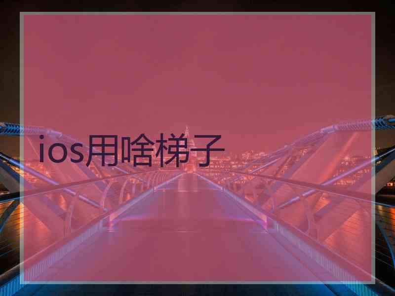 ios用啥梯子