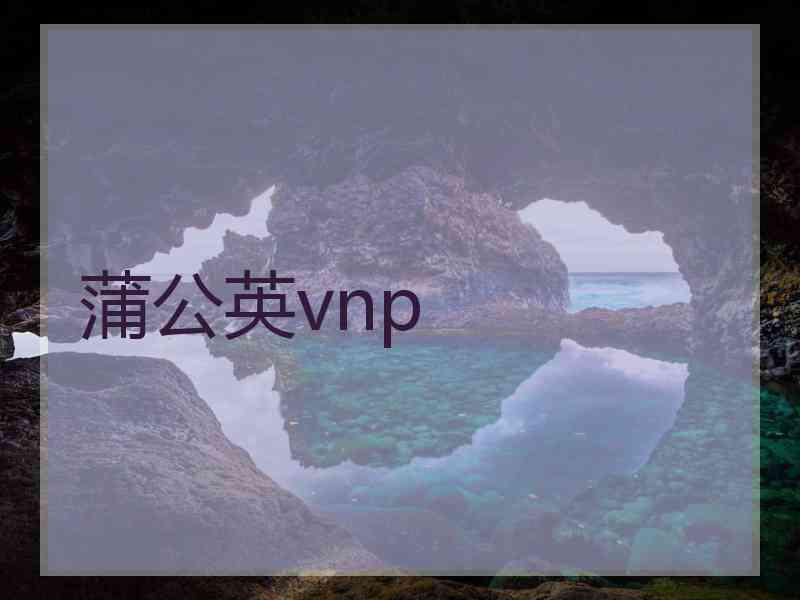 蒲公英vnp