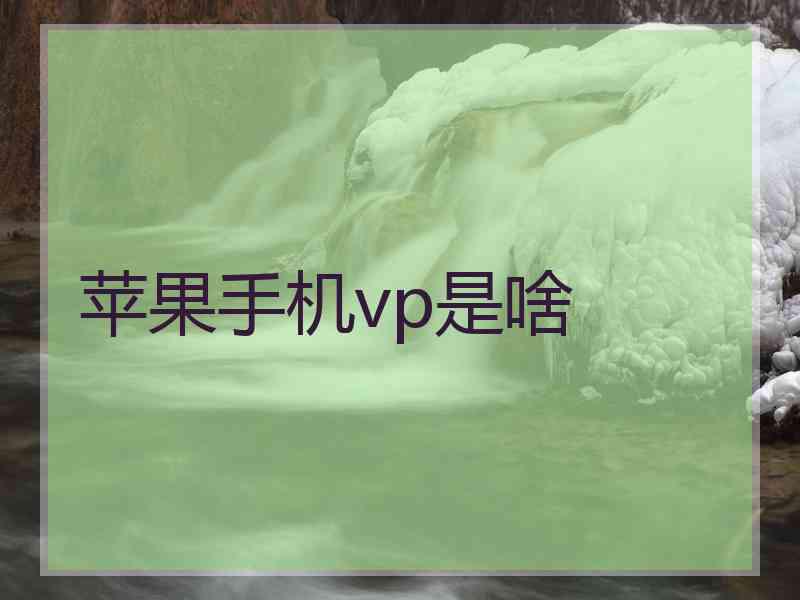 苹果手机vp是啥