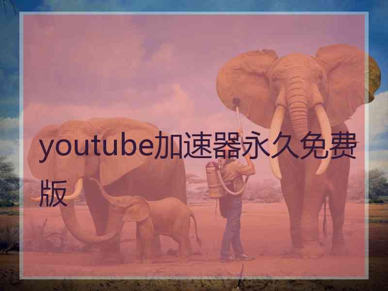 youtube加速器永久免费版