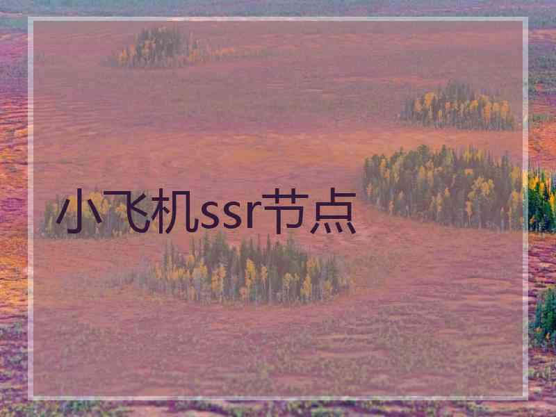 小飞机ssr节点