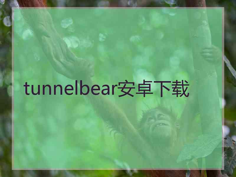 tunnelbear安卓下载