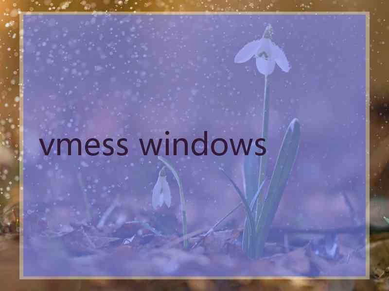 vmess windows