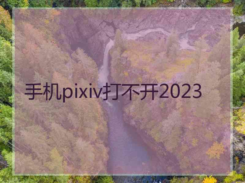 手机pixiv打不开2023