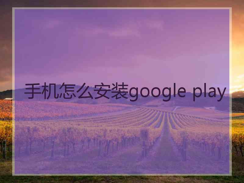 手机怎么安装google play