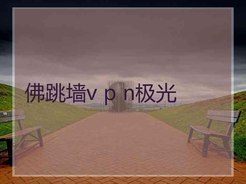 佛跳墙v p n极光