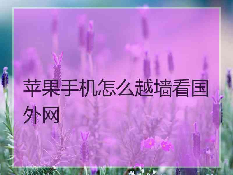 苹果手机怎么越墙看国外网