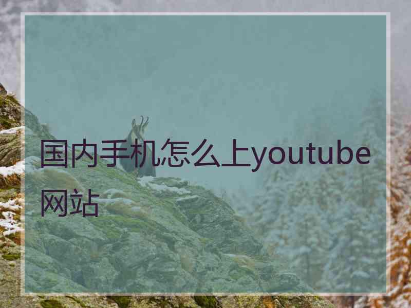 国内手机怎么上youtube网站