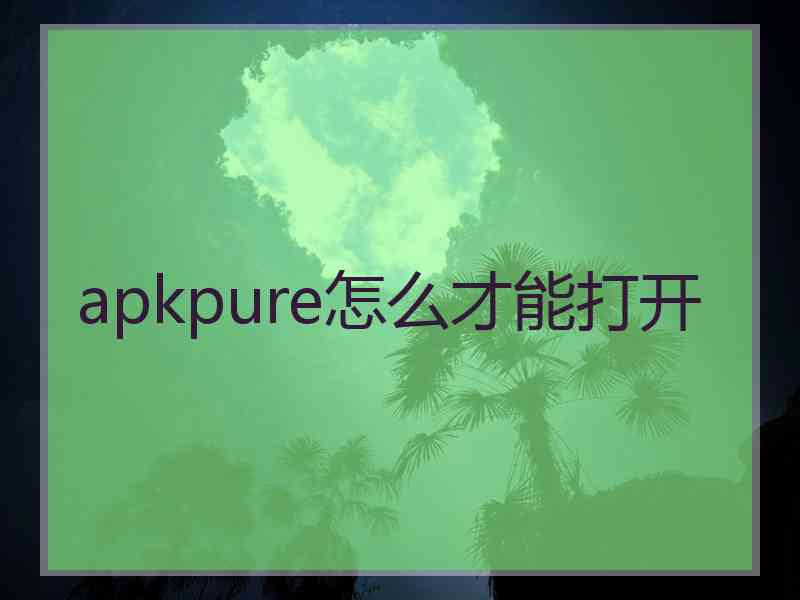 apkpure怎么才能打开