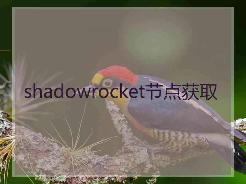 shadowrocket节点获取