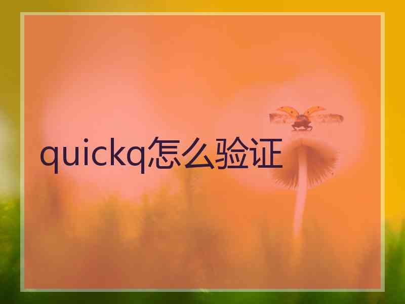 quickq怎么验证