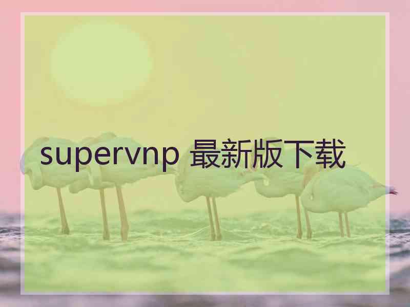 supervnp 最新版下载