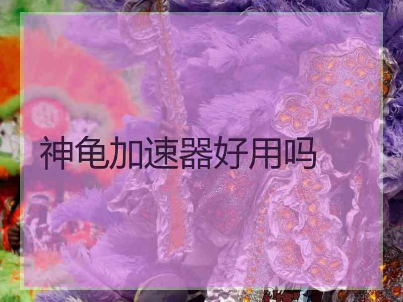 神龟加速器好用吗