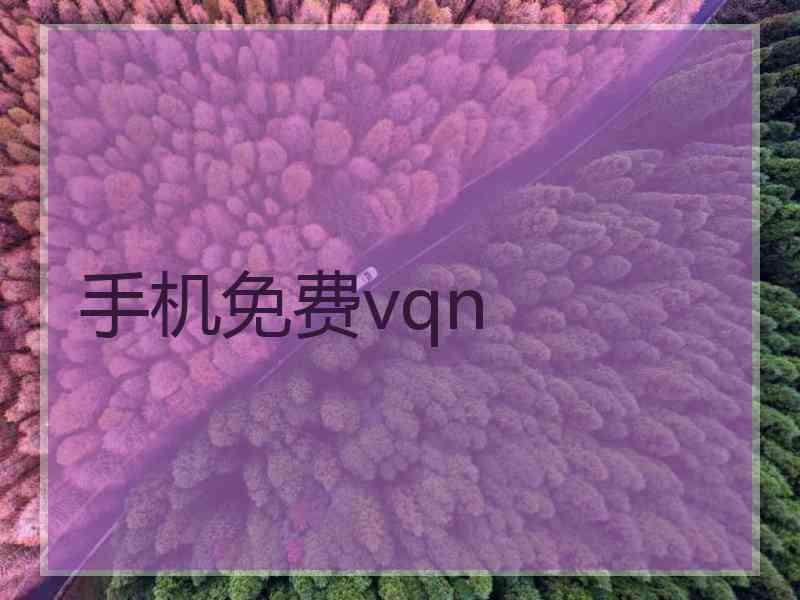 手机免费vqn