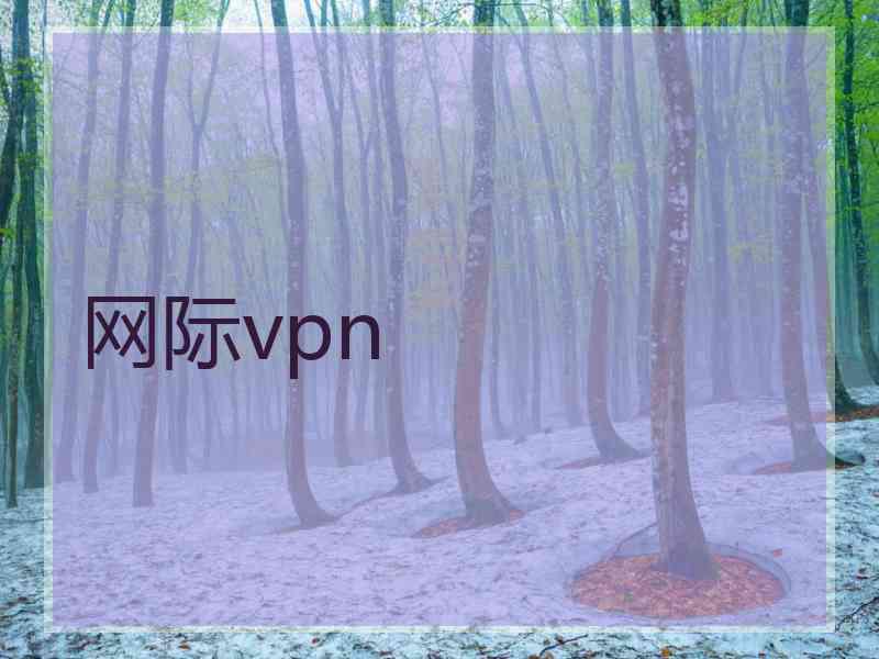 网际vpn